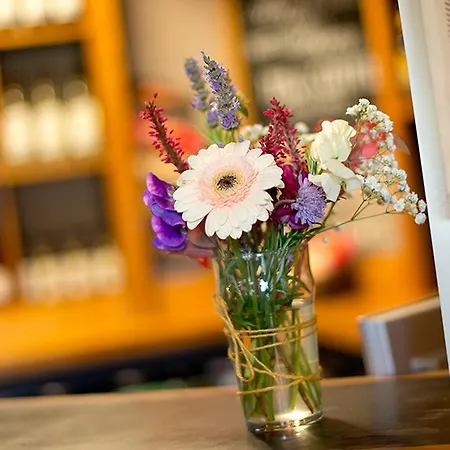 Yha Паттердейл